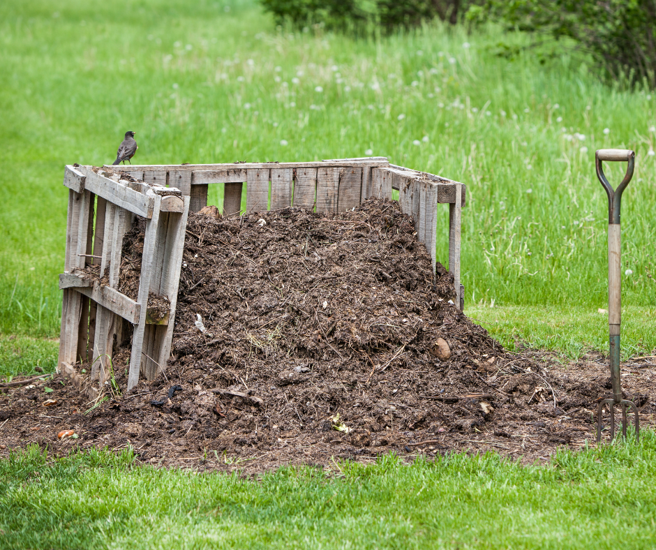 Trasforma i tuoi scarti in Humus con i Lombrichi